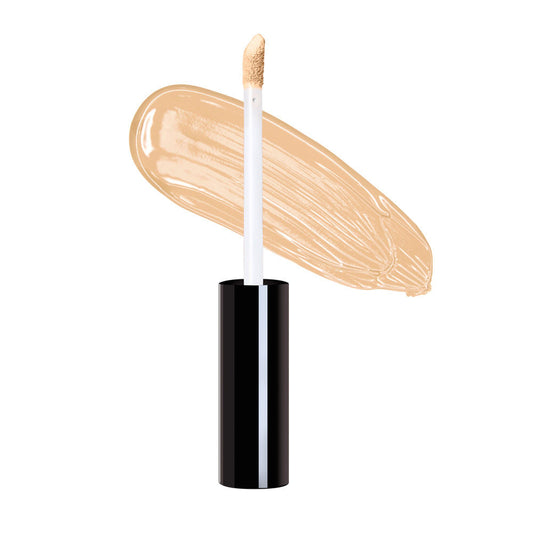 Daily Life Forever52 Complete Coverage Concealer